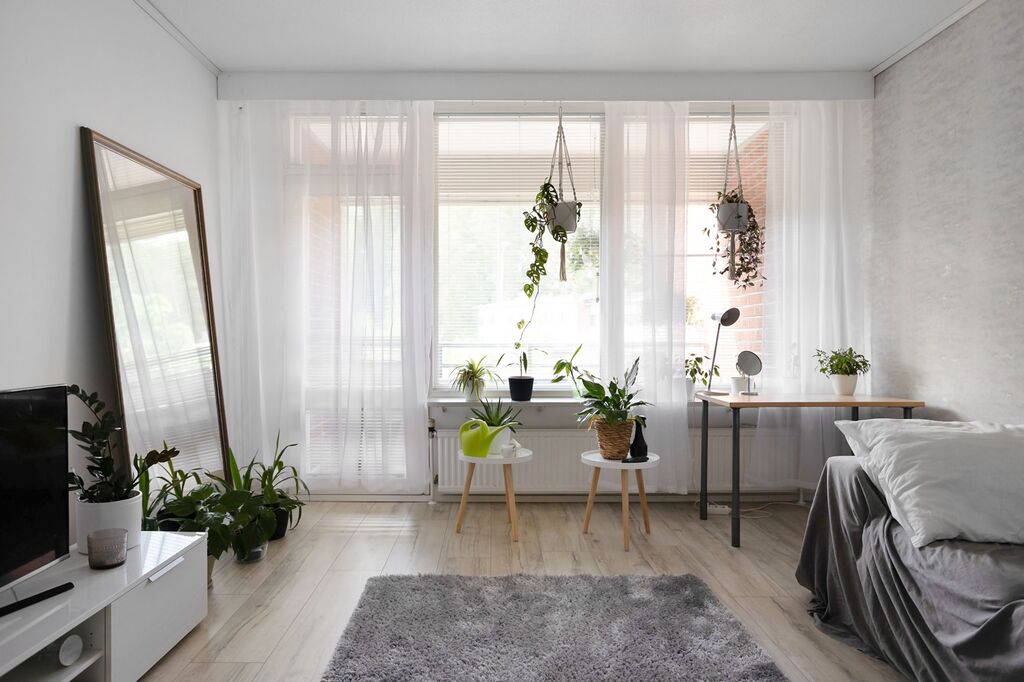 Bright living room corner with hanging and potted houseplants